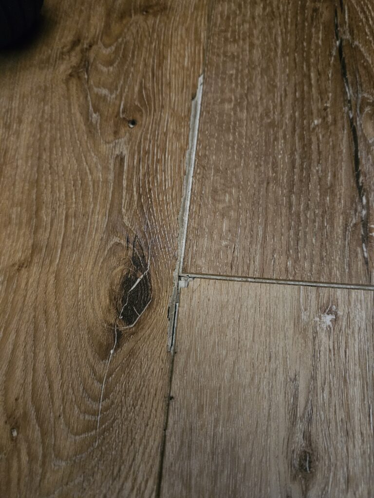 Floor Coverings International Colorado 30 months after Install 5